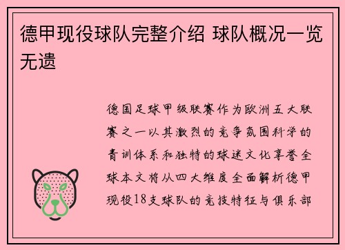 德甲现役球队完整介绍 球队概况一览无遗