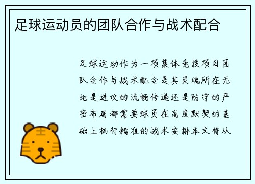 足球运动员的团队合作与战术配合